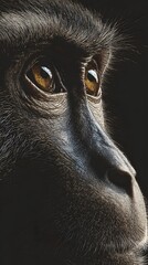 Detailed Animal Gaze Vector Collection