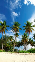 Obraz premium Tropical Paradise with Tall Palm Trees Against a Bright Blue Sky with White Clouds on a Sunny Day