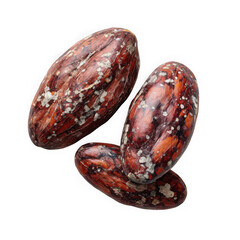 Obraz premium Cocoa bean set on a white background.