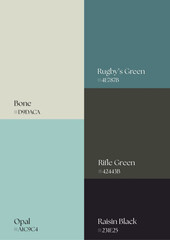 Versatile palette concepts enabling design professionals to adapt seamlessly between minimalism, maximalism, and experimental creativity.