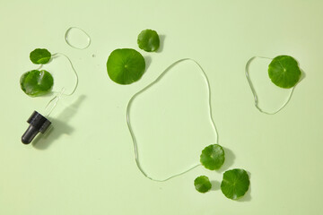 Transparent dropper with serum and Centella leaves styled cleanly. A modern natural cosmetic photography focusing on herbal extracts. Top view, flat lay