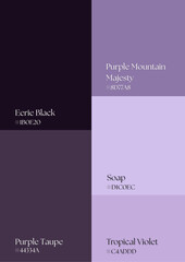 Professional palette ideas inspiring impactful keynote presentations, corporate branding, and government communication materials everywhere.