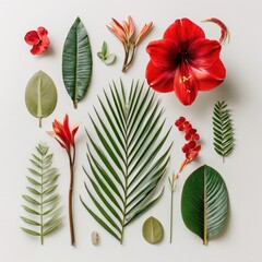 Obraz premium An overhead shot of colorful floral elements arranged neatly on a white surface