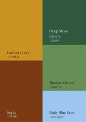 Elegant palette ideas designed to reflect calmness, balance, and harmony in wellness branding applications.