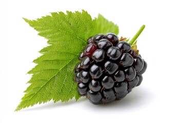 Close-up of a single blackberry with leaf