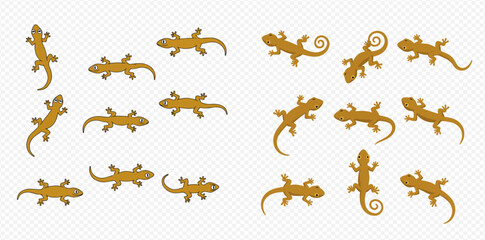 A collection of brown gecko or lizard illustrations in various poses with some having curled tails, on a transparent background.