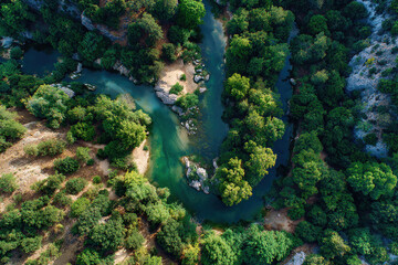 Obraz premium Aerial View of a Serpentine River Winding Through Lush Green Forests