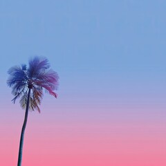A solitary palm tree silhouetted against a gradient sky of blue and pink hues