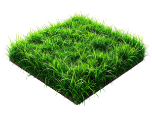 Square patch of vibrant green grass (1)