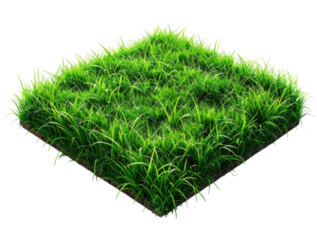 Square patch of vibrant green grass (1)