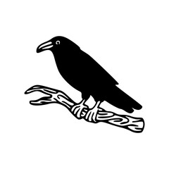 black raven perched on a branch