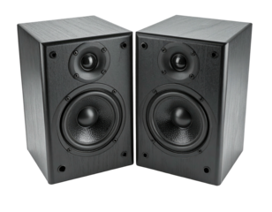 Pair of black wooden speakers