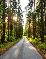 Fototapeta premium Sunny forest road