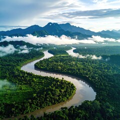 River winds through lush jungle; mountains in background
