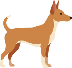 Flat Illustration Basenji Dog Standing Profile Elegant Breed Animal