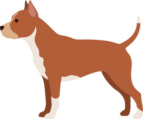Minimalist Flat Illustration of a Brown and White Pitbull Breed Dog