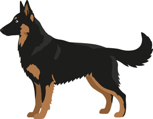Minimalist Style Standing German Shepherd Detailed Breed Illustration Mascot