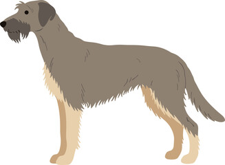 Simple Flat Illustration of Irish Wolfhound Dog Standing Sideways Profile View
