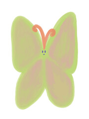 butterfly isolated on white background