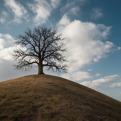Single tree on hill with wide negative sky space