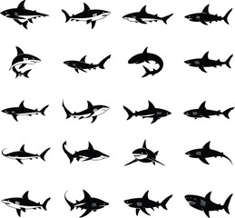 Fototapeta premium Shark Silhouette Vector Collection Illustration .