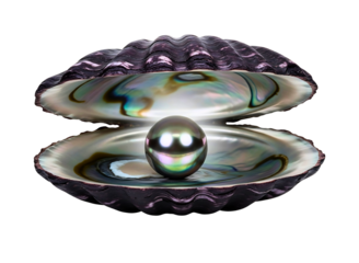 Black pearl in an oyster shell isolated on transparent background