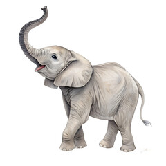 Illustration of a baby elephant isolated on transparent background, trunk up