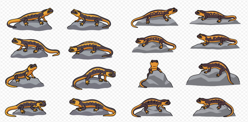 Collection of cartoon newts or salamanders in various poses on rocks, isolated on a transparent background, showcasing different angles and movements.