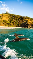 Dolphins at coastline