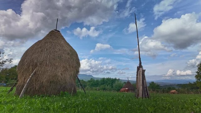 Clouds move over Romanian rural farm landscape with cows and haystacks