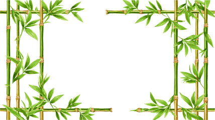 A series of bamboo stalks with green leaves isolated on a white background. Asian-style frame illustration. Vector illustration.