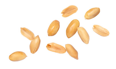 Naklejka premium peeled peanut on white background.