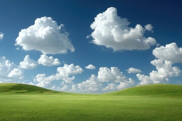 Fototapeta premium Wide grassy plain, puffy white clouds, vibrant blue sky