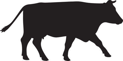 Australian cow,Healthy cow,Milk cow, in silhouette