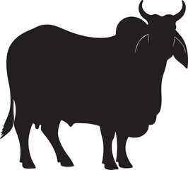 Australian cow,Healthy cow,Milk cow, in silhouette