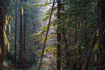 Vinal Creek Trail #9