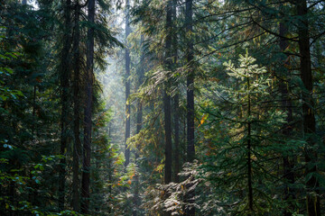 Vinal Creek Trail #9