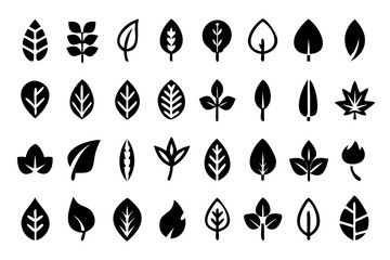Obraz premium Set of various leaf for nature design elements