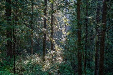 Vinal Creek Trail #9