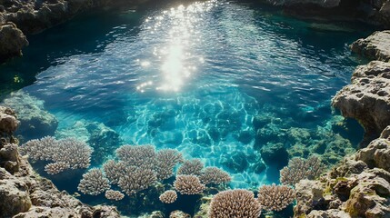 A coral-strewn tidal pool under midday sun with sparkling turquoise reflections 
