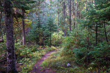 Vinal Creek Trail #9