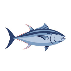 Blue fin tuna
