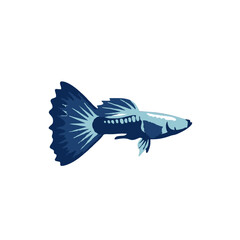 vector illustration of a fish