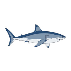 great white shark