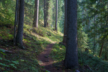 Vinal Creek Trail #9
