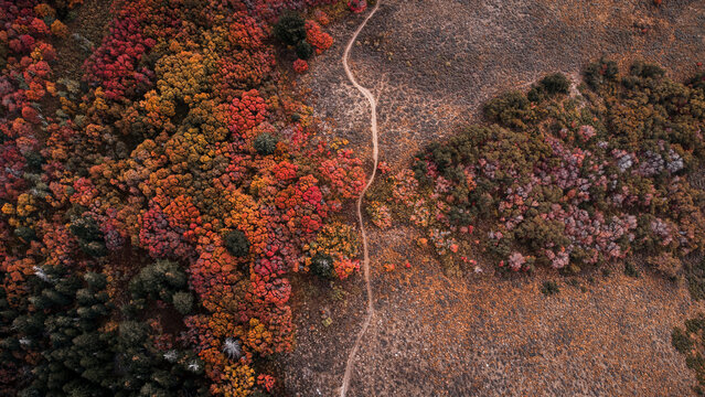 Aerial Breathtaking Fall Autumn Hiking Views of Snowbasin Resort Ogden Morgan Utah Mountains