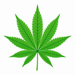 A vibrant green cannabis leaf illustration, symbolizing nature and botanical interest with its distinct serrated edges and central stem