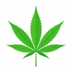 A single vibrant green cannabis leaf illustration isolated on a white background. A flat vector design representing a marijuana plant symbol
