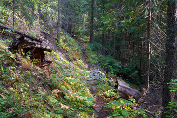 Vinal Creek Trail #9