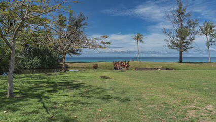 Two wild monitor lizards run across the green lawn to the pond. Shadows on the grass. Wooden pedestrian bridge over a stream. The ocean is far away. Trees against a blue sky, clouds. Malaysia. Borneo
